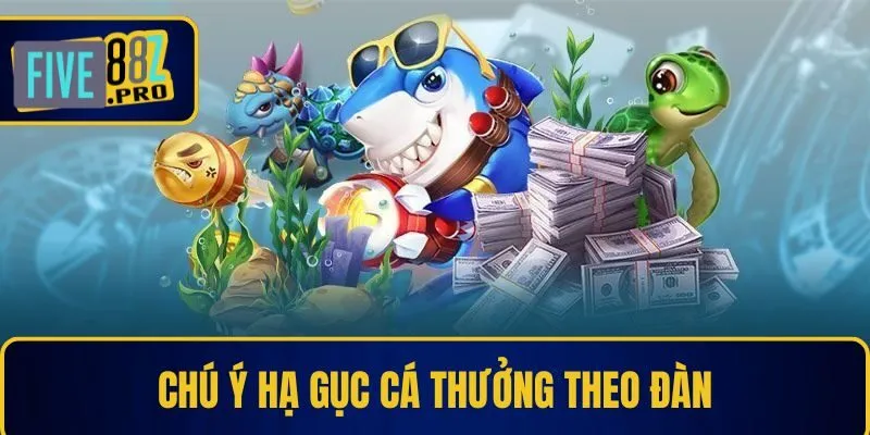 Chú ý hạ gục cá thưởng theo đàn Chú ý hạ gục cá thưởng theo đàn