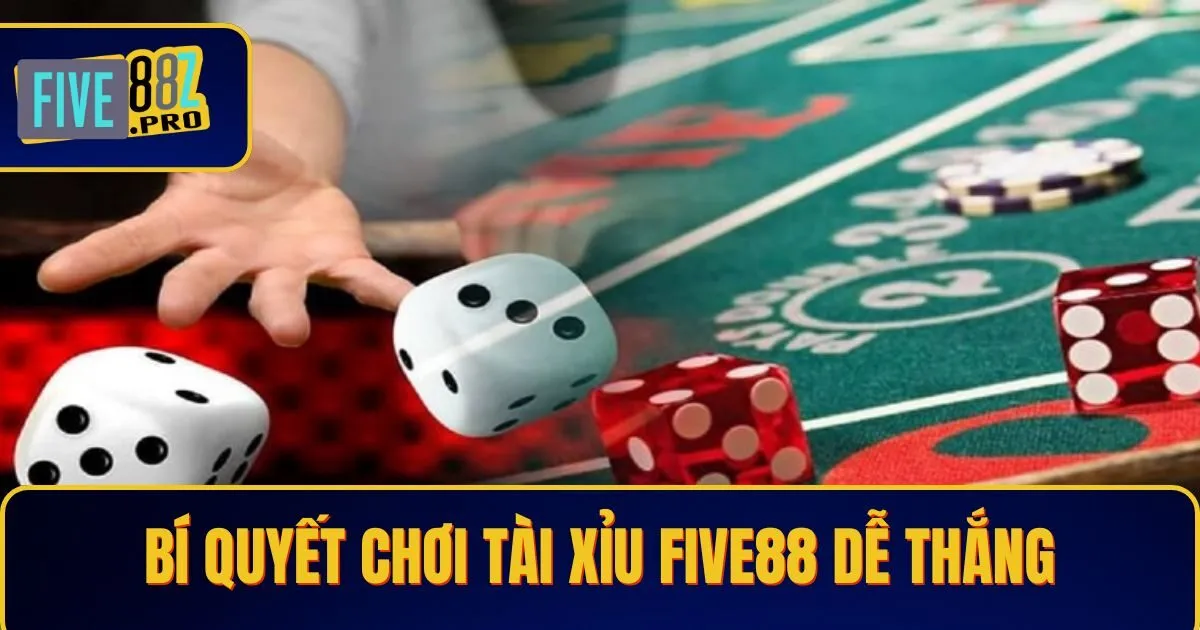 tai xiu 2 Bí Quyết Chơi Tài Xỉu Five88 Dễ Thắng Dành Cho Người Mới